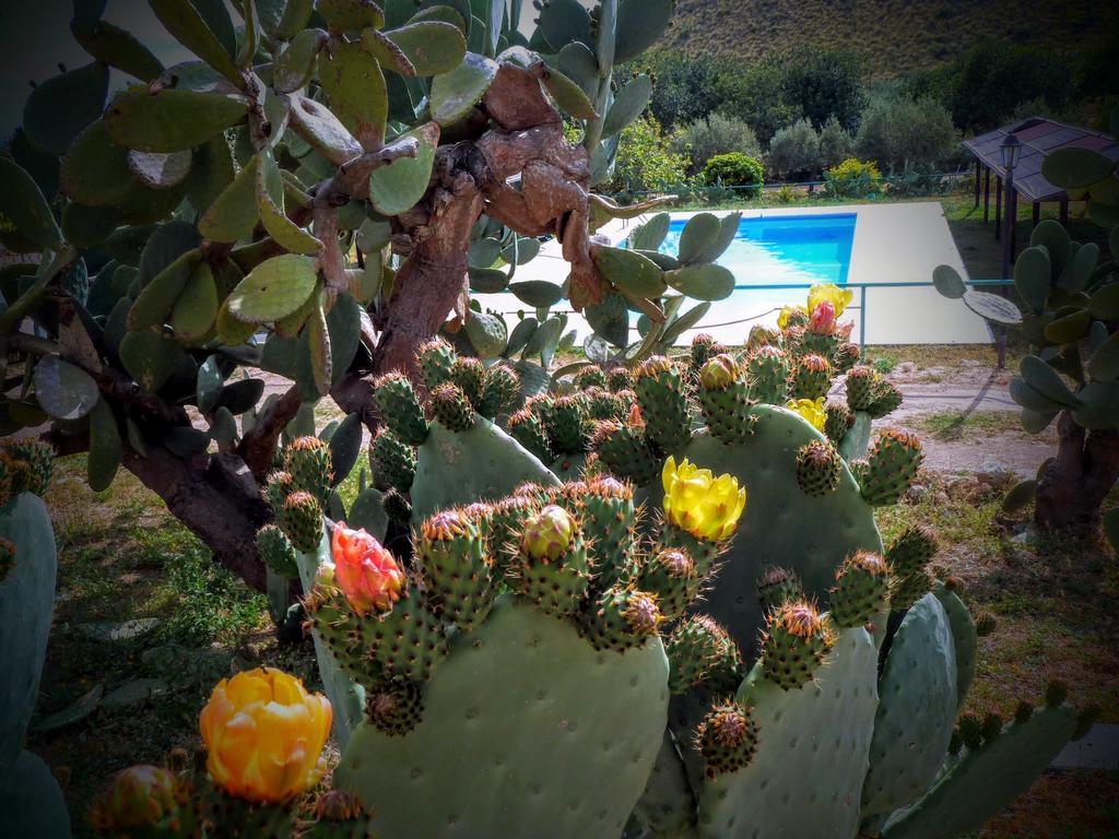Agriturismo Timpa Del Sole Noto Exterior foto